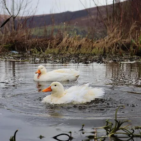 - Romantic Retreat For Two * Penrith